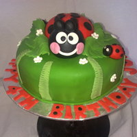 Ladybird Cake Based on a cake by fantasticakes, ladybird cake. Ladybird is sugarpaste.