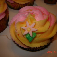Two Tone Swirl Two Tone Buttercream Swirl cupcake with fondant daisies