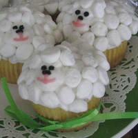 Sheep Cupcakes 