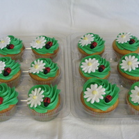 Ladybug Cupcakes To match the ladybug cake I did. Thanks to CC for inspiration!