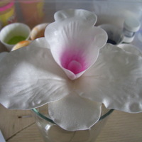 Gumpaste Orchid 6 Hand formed gumpaste orchid, 6" across. Magenta luster dust in throat, super pearl on petals