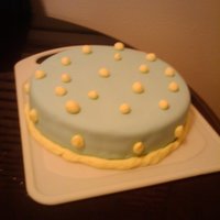First One This is a picture of my first fondant cake.