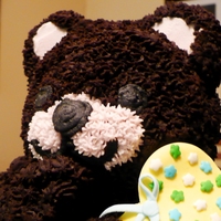 Teddy Bear Using The Teddy Bear Mold This is a teddy bear I made using the teddy bear mold i purchased from Michaels. Used chocolate frosting receipe from Hershey's....