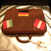Traveling To Europe Suitcase cake for my parents to take to their meeting where they would be discussing the trip to Germany, Austria and Italy next month....