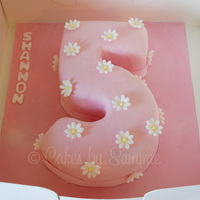 Number 5 Cake This was my first attempt at a number cake (well this along with the number 1 - I didnt them both together) Found it a bit tricky covering...