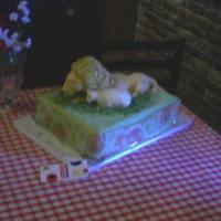Lion And The Lamb Red Velvet Cake with Cream Cheese/Cherry Filling Rice Crispy/Marzipan Animal Figures