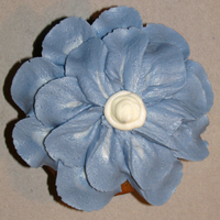 Flowers practicing flowers on cupcakes