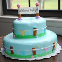 Clothes Line Baby Shower Cake I made this cake for my friends baby shower. i but little bees and butterflies around the whole thing.