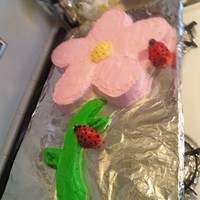 Flower Cake And Lady Bug 