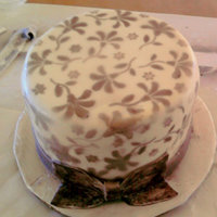 Flower Stencil This cake would have turned out alot better...but the dang humidity was making my color spray bleed! so upset, but it was a good idea.