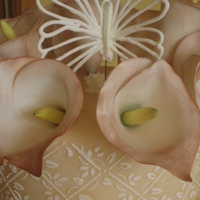 Wedding Cake GP callas, RI butterfly (the only one that "survived!) RI stenciling, GP curved leaves around bottom tier, marbled fondant
