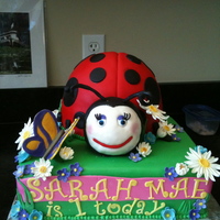 Lady Bug Birthday 