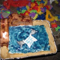 Dolphin Lagoon Made this cake last minute for a fellow dolphin trainers going away party. It's supposed to be the pool that we work in with the rocky...