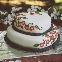 Painted Flowers the flowers were piped on with a mixture of icing and piping gel, coloured. Then with a small brush pulling the piping towards the centre...