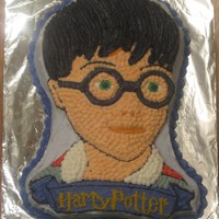 Harry Potter Final cake for a cake decorating class. Writing out Harry Potter took forever!