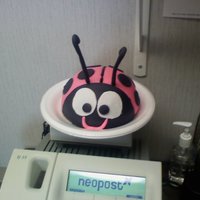 Ladybug Just goofing around and made this ladybug cake. Actually turned out cuter than I thought!! French vanilla cake with chocolate butter cream...