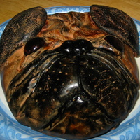 Pug Dog My first ever "sculpture" in fondant. A birthday cake for a friend who has a houseful of pugs!