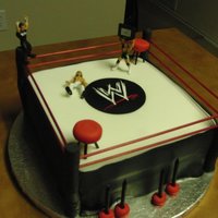 Wrestling Cake Celebration cake made for Michael Cole and Josh Matthews of the WWE. :) Made with fondant.