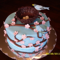 Spring Birthday cake for my mom! She loves birds and blooms!! Nest made out of melted chocolate drizzled over an upside down bowl. Birds made from...