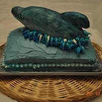 Dolphin Cake my first ever fancy cake endeavor. Layer cake with a rice crispy dolphin jumping out of it, covered in fondant.