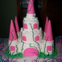 Birthday Castle Made this for my niece's first birthday! Hard work!!! 8,6,and 4 inch rounds iced with buttercream. The towers were made with ice cream...