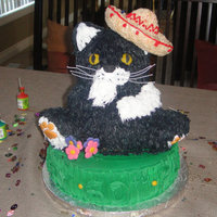 Cat Wearing Sombrero 