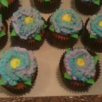 Carnation Cupcakes Just some cupcakes that I was playing around with...