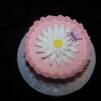 Mini Cake 