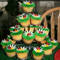 Ladybug Cupcakes Lemon cupcakes w/ cream cheese frosting. Gumpaste daisies and ladybugs