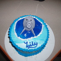 Dolphin B-Day Cake Dolphin is make of fondant.