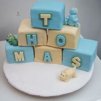 Dinosaur Block 1St Birthday Cake This was one of my first attempts at cake decorating, a bit rough round the edges but I love this cake because I made it for my best...