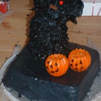 Halloweencake.jpg Black cat with pumpkins. Cat is cake with black dyed coconut. Pumpkins are candles.