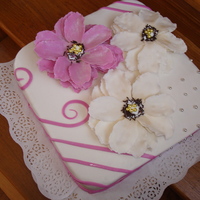For Uliana 