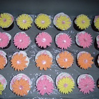 Daisy Cupcakes Did this for my Girlfriends Baby shower I help throw. All hand done Daisy for each one.