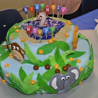 Safari Peek-A-Boo! This is a cake I completed for my second cousin's second birthday - Safari Peek-a-boo!