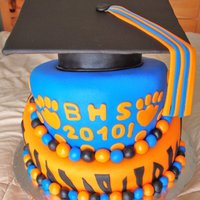Brighton Highschool Graduation Cake This was my first time doing tiger stripes.