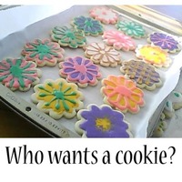 First Cookies This was my first attempt at decorating sugar cookies. I used NFSC and glace icing.