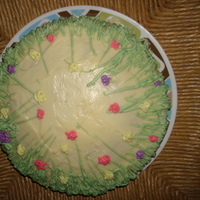 Easter Meadow This was a carrot cake I made for Easter dinner this year. Once arrived, somebody threw a chocolate bunny on the cake and it really topped...