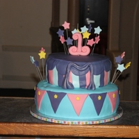 Circus Themed 1St Birthday Bottom tier is 12" vanilla bean cake with white chocolate ganache and raspberry curd. Top tier chocolate with cookies and cream icing...