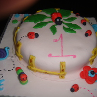 Lady Bug Smash Cake 
