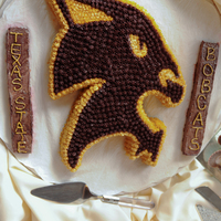 Texas State University My Groom's Cake... Texas State Bobcats. This is the SuperCat logo for the univeristy.