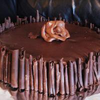 Chocolate Cake Sponge cake with chocolate ganache, chocolate cigarettes and chocolate mold rose