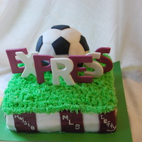 Express Soccer Party I got the idea from a few cakes here on cake central - thanks so much! Everyone at the party loved it - the girls all wanted the piece with...