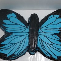 Black & Blue Butterfly 