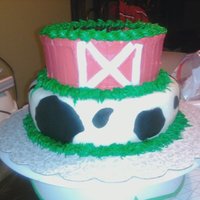 Barnyard Cake These cakes were simple and fun to make. The top tier is decorated with BC and has MMF accents, made to look like a barn. The bottom tier...