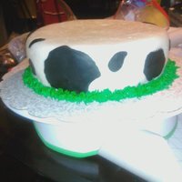 Cow Print Cake This was the bottom cake on a 2 tier stacked barnyard theme cake, done for a 91yr old farmer. I used MMF to decorate this cake, and bc...