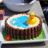 Another Tub Cake I got this idea from this site. I loved it and HAD to try it for myself! and I love mine!!