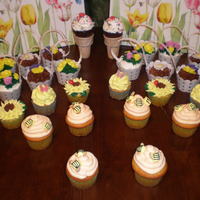 Summer Themed Cupcakes 