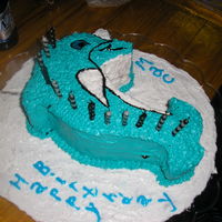 Dolphin Cake 