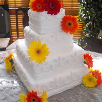 Daisy Delight 